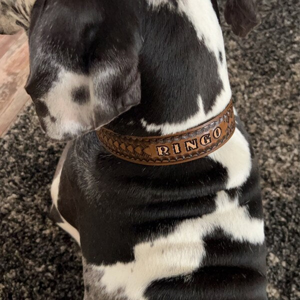 Kožený obojek se jmém psa #001 - Wolf