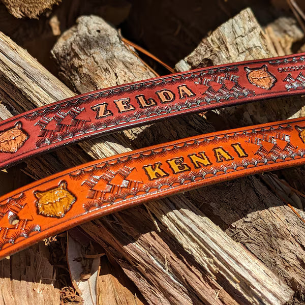 Masivní kovová přezka na koženém obojku pro psa