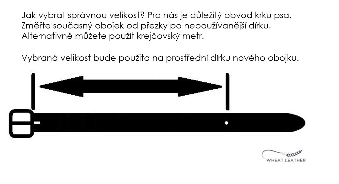 Návod jak správně změřit velikost koženého obojku pro psa, měření obvodu krku