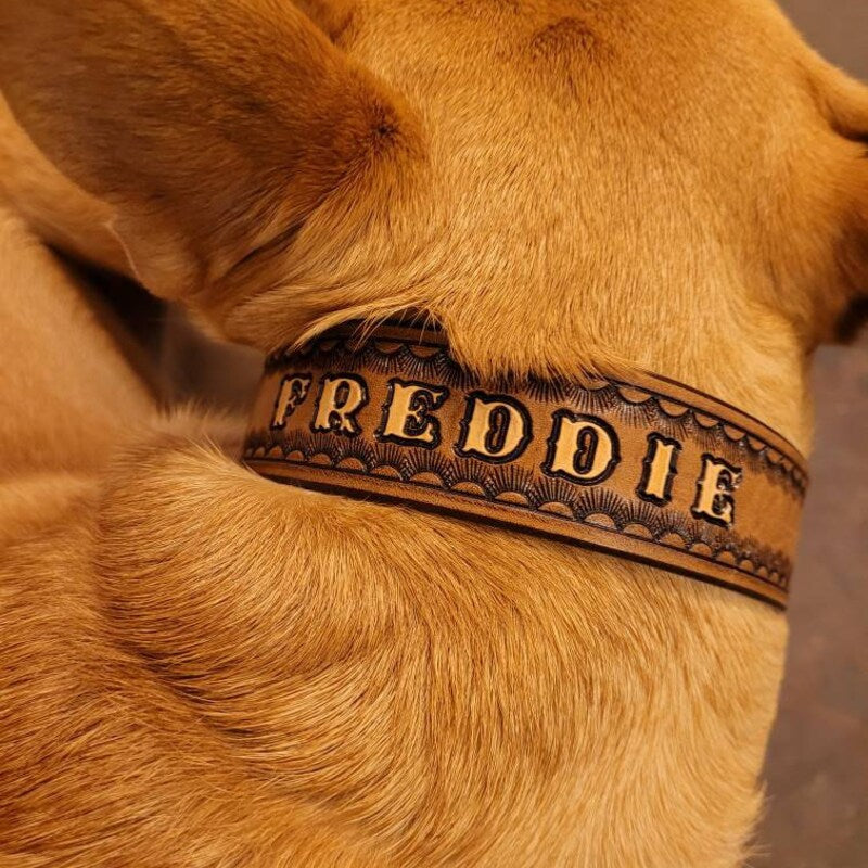 Detail personalizovaného koženého obojku pro psa se jménem Freddie, ruční ražba písmen