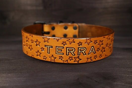 Ručně vyráběný kožený obojek pro psa se jménem Terra a ozdobnou ražbou hvězd