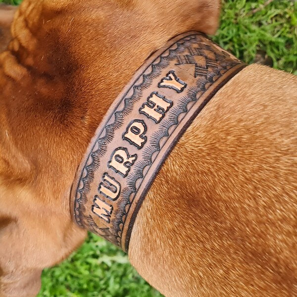 Kožený obojek pro psa s dekorativní ražbou a vyraženým jménem