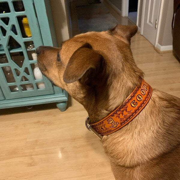 Kožený obojek pro psa s dobře čitelným jménem při pohledu z boku
