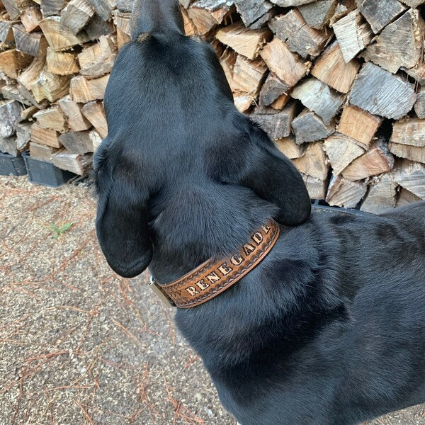 Kožený obojek pro psa s viditelným jménem při pohledu zezadu