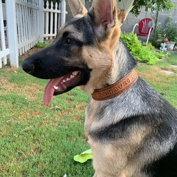 Kožený obojek pro velkého psa s personalizací jména