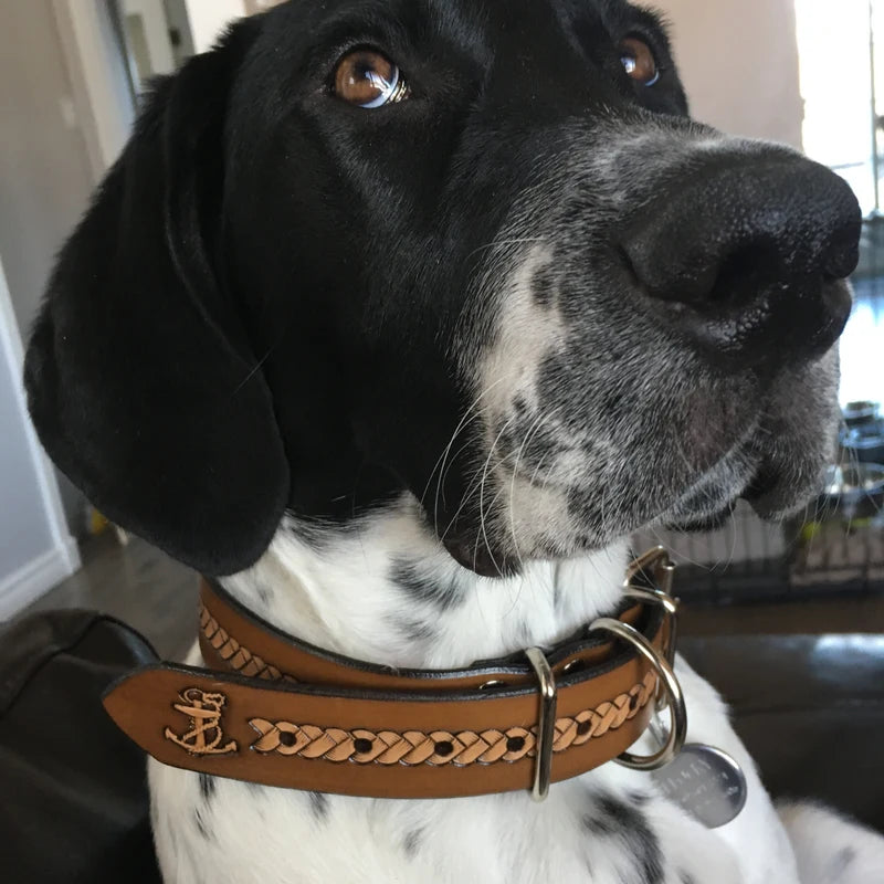 Detail koženého obojku pro psa s basket ražbou a motivem kotvy nošeného na psovi