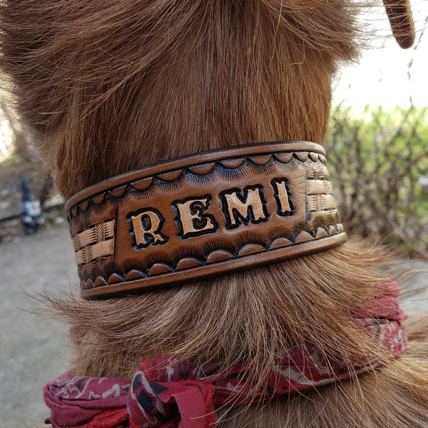 Kožený obojek pro psa na krku z pohledu zezadu, ruční ražba se jménem Remi, široké a pevné kožené provedení