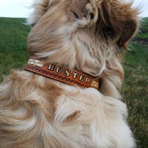 Kožený obojek pro psa na krku dlouhosrstého psa, ruční ražba se jménem Buster, široké a pevné kožené provedení