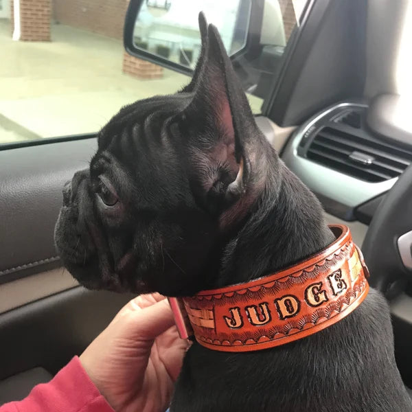 Kožený obojek pro psa na krku francouzského buldočka, ruční ražba se jménem Judge, široké a pevné kožené provedení