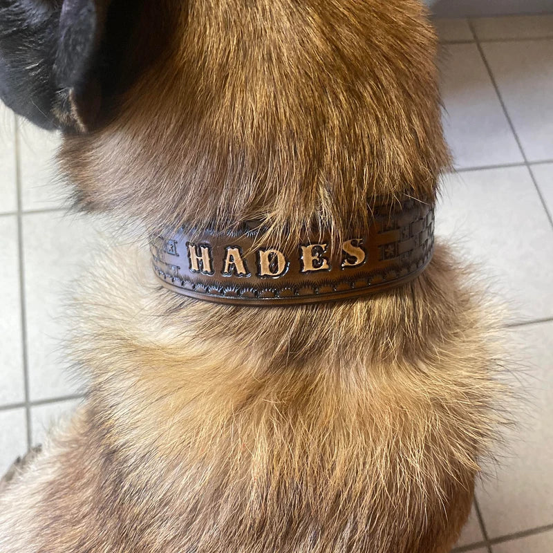 Kožený obojek pro psa s ručně raženým jménem Hades, personalizovaný obojek na krku psa, detail nošení