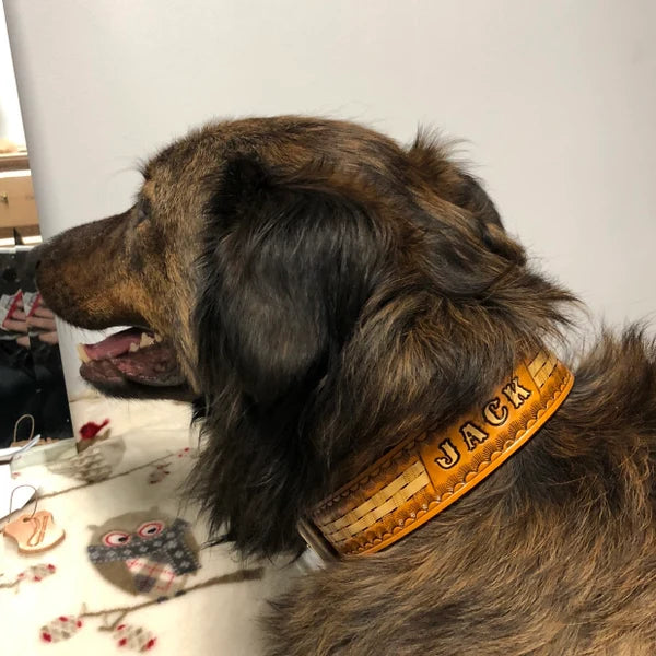 Kožený obojek pro psa na krku dlouhosrstého psa z bočního profilu, ruční ražba se jménem Jack, široké a pevné kožené provedení