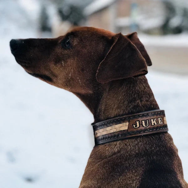 Kožený obojek pro psa na krku z bočního profilu, ruční ražba se jménem Juke, pevné kožené provedení pro každodenní nošení