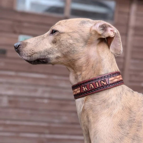 Kožený obojek pro psa na krku štíhlého psa, ruční ražba se jménem Kain, pevné a pohodlné kožené provedení