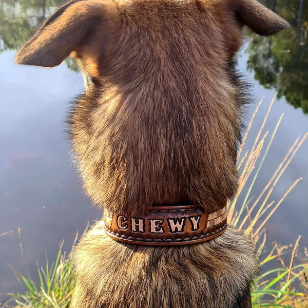 Kožený obojek pro psa na krku z pohledu zezadu, ruční ražba se jménem Chewy, pevné kožené provedení pro venkovní použití