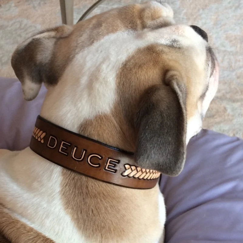 Personalizovaný kožený obojek pro psa se jménem Deuce nošený na psovi zezadu