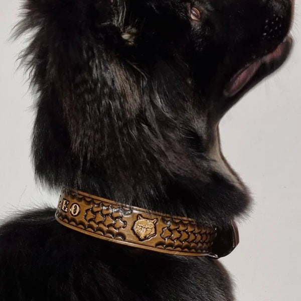 Kožený obojek pro psa na krku velkého dlouhosrstého psa, ruční ražba s ozdobným motivem a masivní provedení