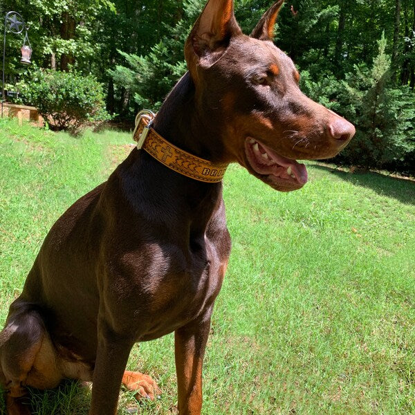 Široký kožený obojek pro psa s výraznou ražbou